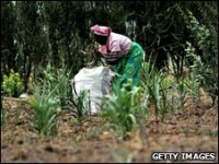 Poorer countries 'need bailout help too' 