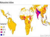 Climate to wreak havoc on food supply predicts report